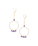 Wholesale Swarovski Crystal Medley on 30MM 14/20 Gold Filled Hoop Earrings