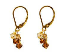 Small Swarovski Crystal Cascade Earrings