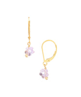 Swarovski Crystal Flower Earrings on 14/20 Gold Filled Leverback Posts by Minigems